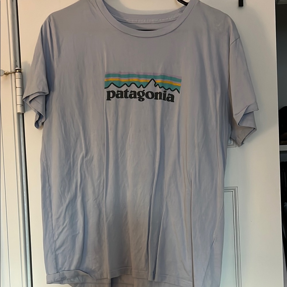 Patagonia Light Blue Graphic T-Shirt